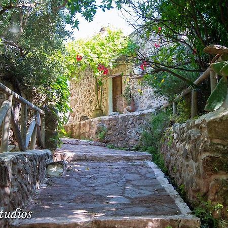 Cretan Minoan Apartments Káto Zákros Eksteriør bilde